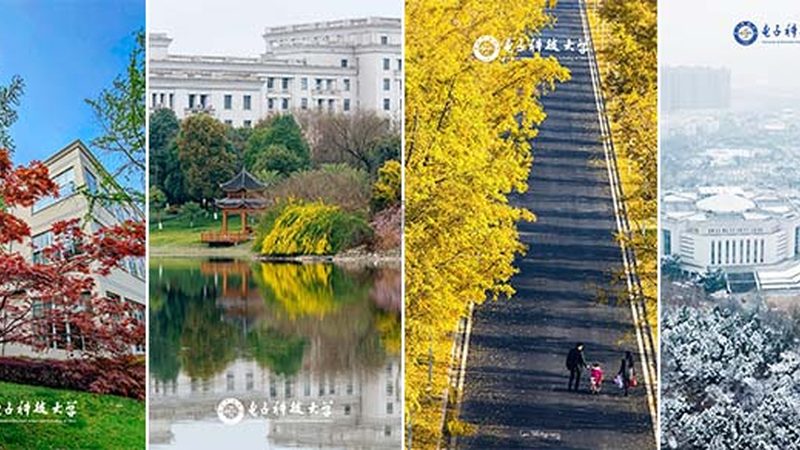 揭秘2025电子模块十大品牌：品质与技术的双重考量